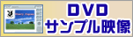 DVD�T���v���f��