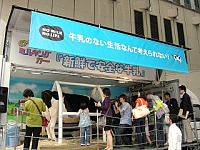 photo11.jpg