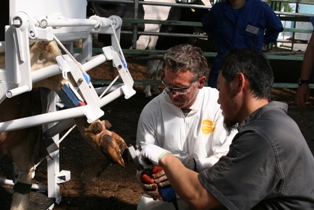 20080726.jpg