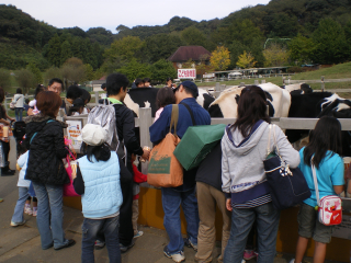 大勢の家族連れが訪れた